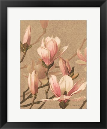 Framed Antique Botanical Collection 4 Print