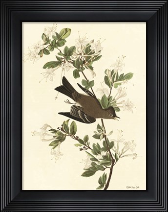 Framed Vintage Bird 1 Print