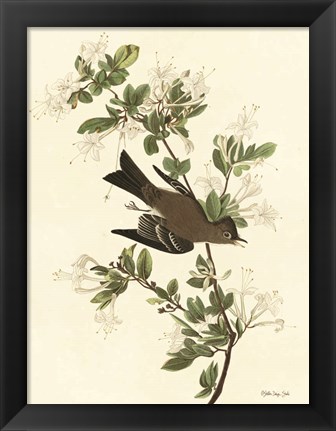 Framed Vintage Bird 1 Print