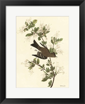 Framed Vintage Bird 1 Print