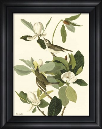 Framed Vintage Bird 2 Print
