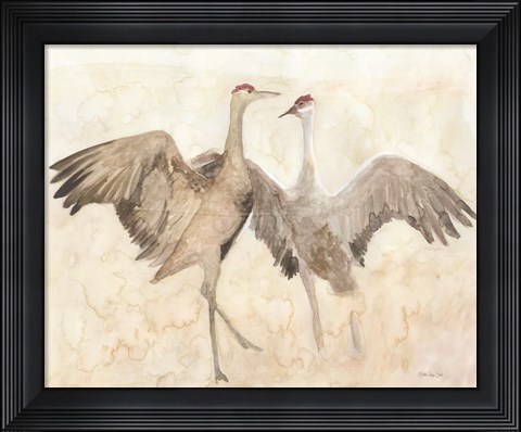 Framed Sandhill Cranes 1 Print