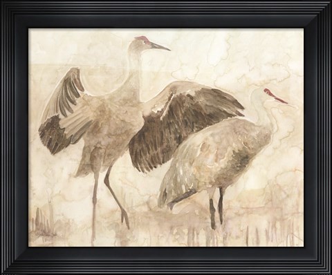 Framed Sandhill Cranes 2 Print