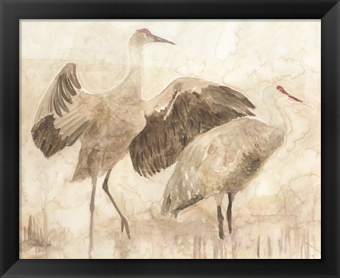 Framed Sandhill Cranes 2 Print