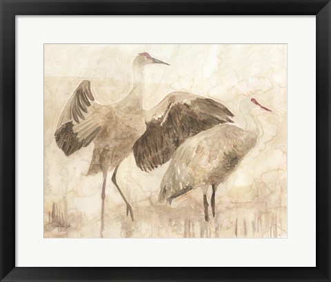 Framed Sandhill Cranes 2 Print