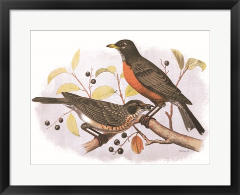 Framed Birds and Berries Print