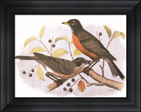 Framed Birds and Berries Print