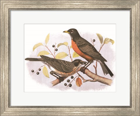 Framed Birds and Berries Print
