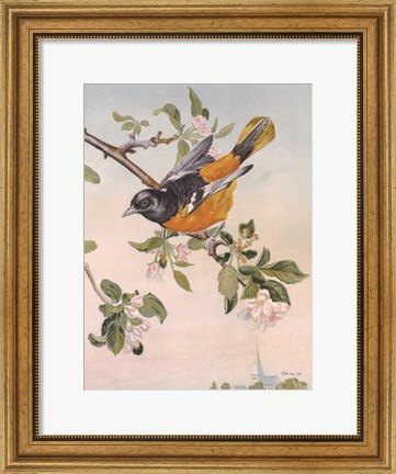 Framed Spring Song Bird Print