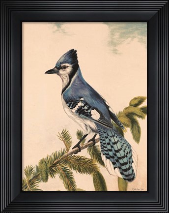Framed Bluebird on Evergreen Print