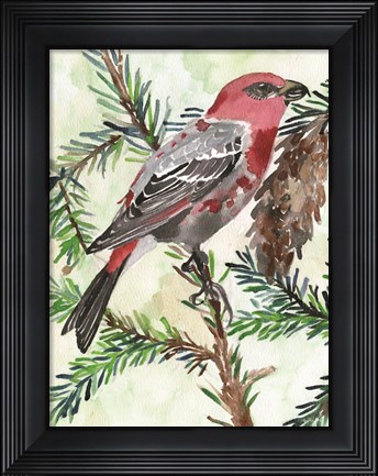 Framed Bird and Branch 1 Print