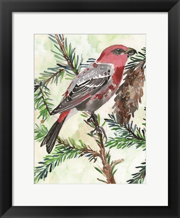 Framed Bird and Branch 1 Print