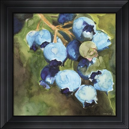 Framed Blueberries 1 Print