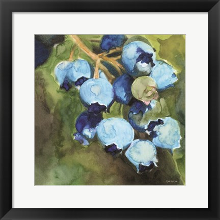 Framed Blueberries 1 Print