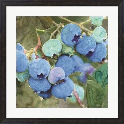 Framed Blueberries 2 Print