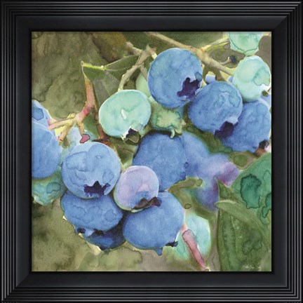 Framed Blueberries 2 Print