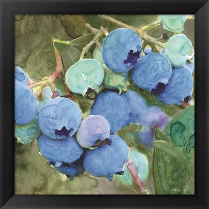 Framed Blueberries 2 Print