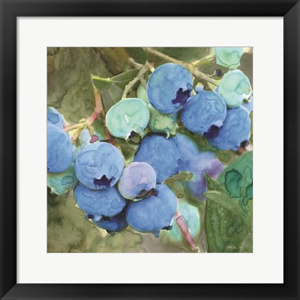 Framed Blueberries 2 Print