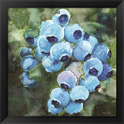 Framed Blueberries 3 Print