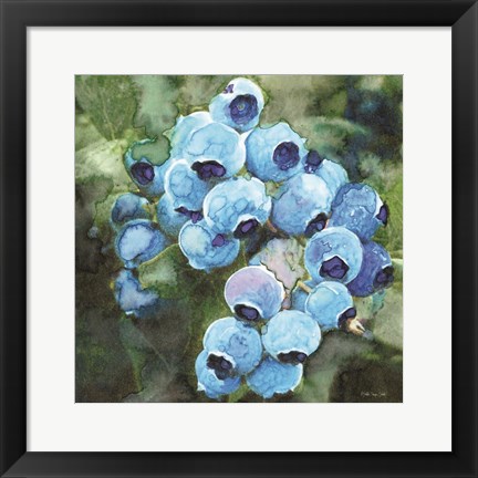 Framed Blueberries 3 Print