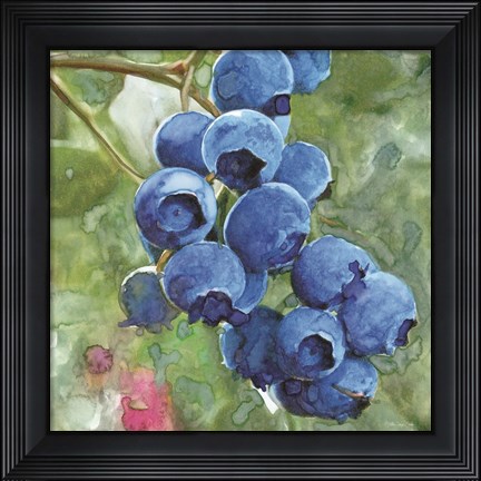 Framed Blueberries 4 Print