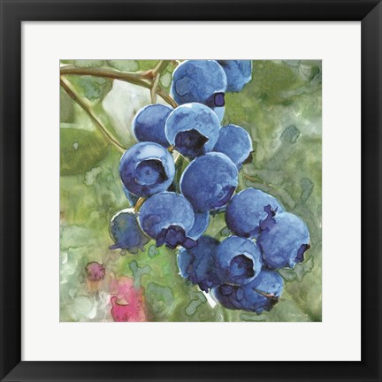 Framed Blueberries 4 Print