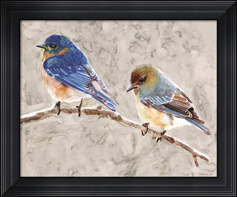 Framed Eastern Bluebirds 1 Print