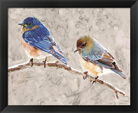 Framed Eastern Bluebirds 1 Print