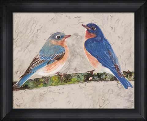 Framed Eastern Bluebirds 2 Print