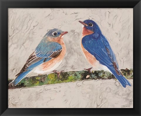 Framed Eastern Bluebirds 2 Print