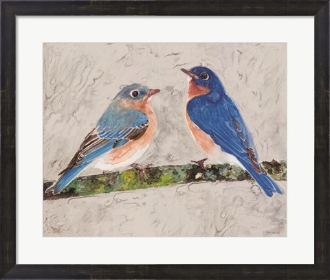 Framed Eastern Bluebirds 2 Print