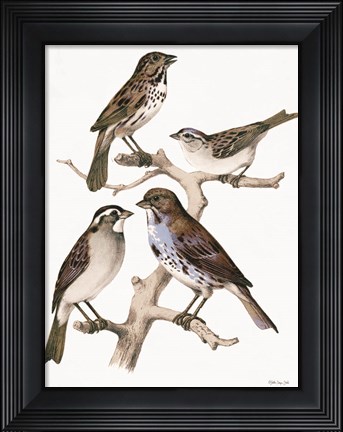 Framed Birds on Branch Print