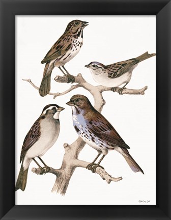 Framed Birds on Branch Print