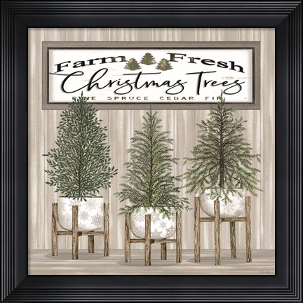 Framed Potted Christmas Trees Print