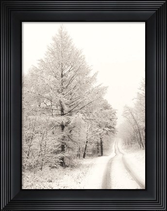 Framed Berry Mountain Road Print