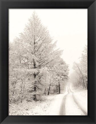 Framed Berry Mountain Road Print