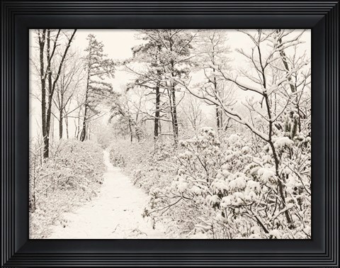 Framed Winter Walk Print