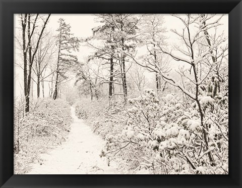 Framed Winter Walk Print