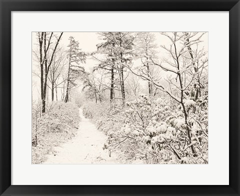 Framed Winter Walk Print