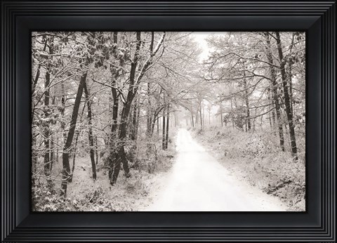 Framed Snowy Lane Print