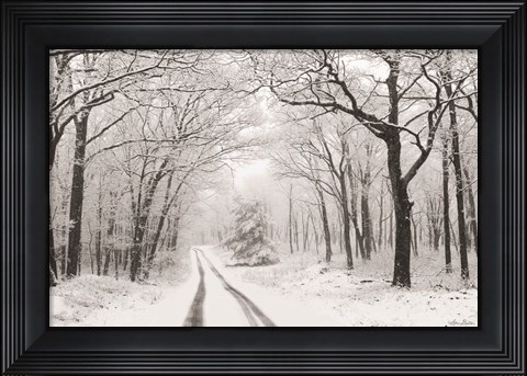 Framed Wintry Road Print