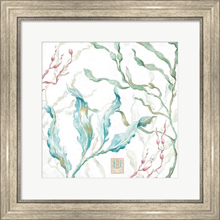 Framed Delicate Sea XI Print