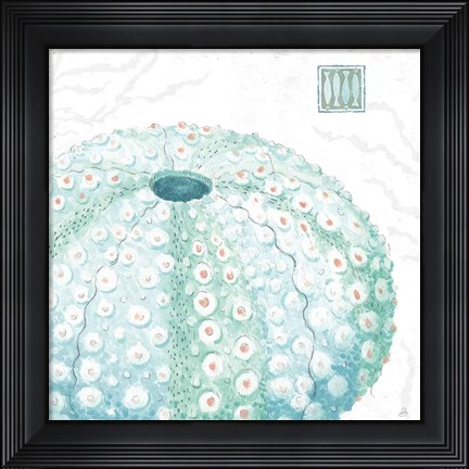 Framed Delicate Sea VIII Print