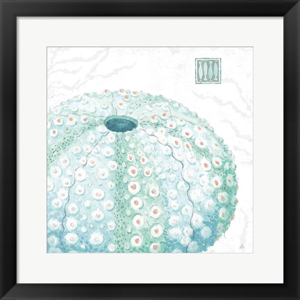 Framed Delicate Sea VIII Print