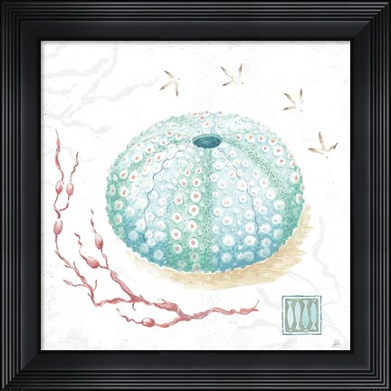 Framed Delicate Sea VII Print