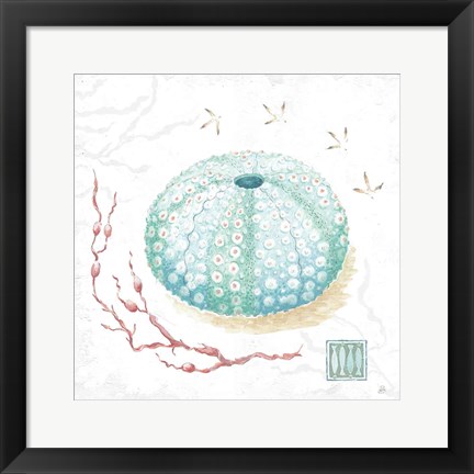 Framed Delicate Sea VII Print