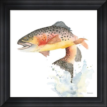 Framed Cutthroat Trout Print