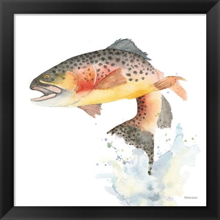 Framed Cutthroat Trout Print