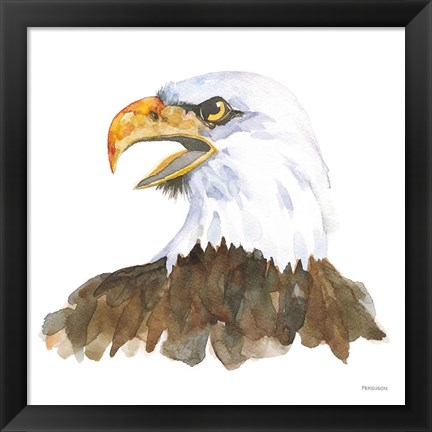 Framed Bald Eagle Print