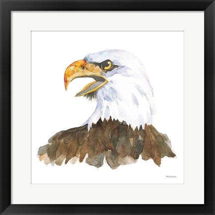 Framed Bald Eagle Print